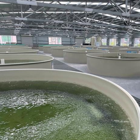 oxygen generator aquaculture oxygen generator aquaculture